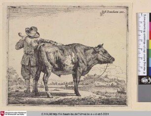 [Junger Hirte mit einem Bullen; Young Herdsman with a Bull]