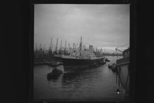 Ruahine (1951), New Zealand Shipping London