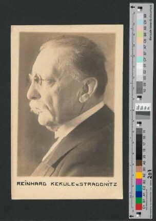 Reinhard Kekule v. Stradonitz
