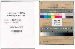 Entnazifizierung Anton Ludwig , geb. 13.02.1900 (Installateur)