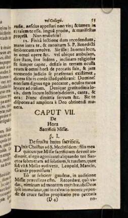 55-64, Caput VII