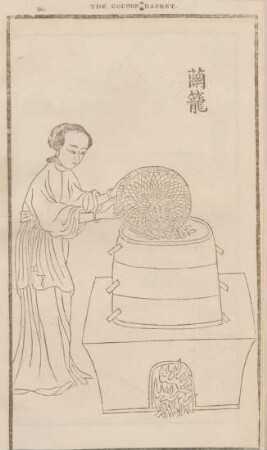 The cocoon basket