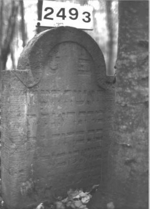 Grabstein 2493
