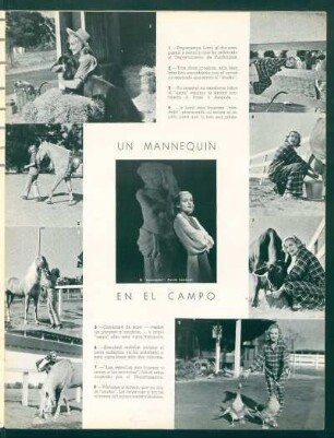 Un mannequin en el campo