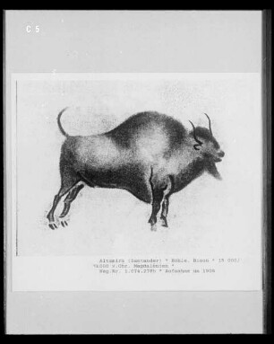 Wandmalerei in der Höhlenwohnung in der Altamira-Höhle: Bison