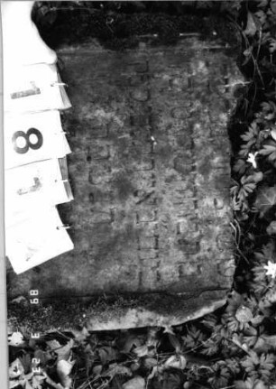 Grabstein 181 (Index: 99792308) Material: Sandstein Zustand: leicht verwittert, obere Hälfte der Stele fehlt, Stele liegend Maße HxBxT: 58x54x13 cm Beschreibung: Stele, Schriftfeld eingetieft: Grabstein 181A