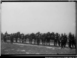 Geländeübung des Feld-Artillerie-Regiments Nr. 46 Enthält: Platte 47, Soldaten zu Fuß und mit Pferden bespannte Geschützlafette