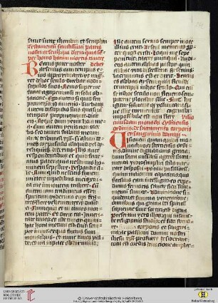 Visio [Rudolfi] cuisdam monachi Cysterciensis ordinis de sacramento corporis et sangwinis