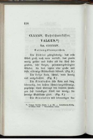 CLXXXIV. Bohrscharrkäfer. Valgus.