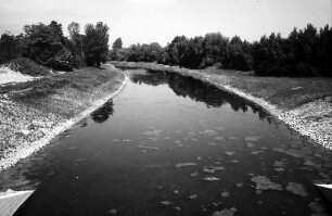 Breisach: Mit Grundwasser gefüllter Altrheinarm
