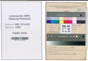 Entnazifizierung Anna Cester , geb. 27.10.1896 ()