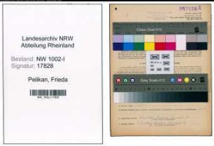 Entnazifizierung Frieda Pelikan, geb. 29.05.1898 (Telefonistin)