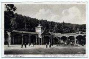 Trinkhalle der Georg-Viktor-Quelle in Bad Wildungen