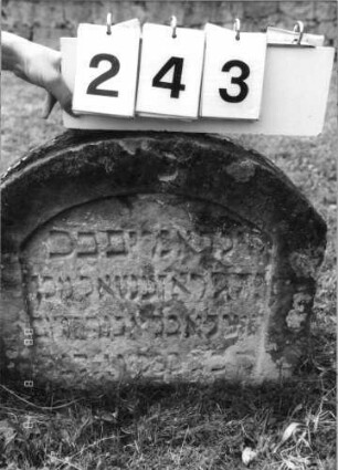 Grabstein 243