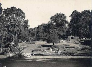 Peradenyia/ Sri Lanka: Botanischer Garten