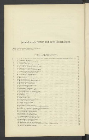 Verzeichnis der Tafeln und Text-Illustrationen