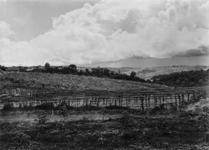 Hügellandschaft : Blick über eine Hügellandschaft in Tansania