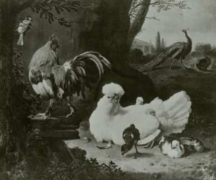 Die ruhende Henne