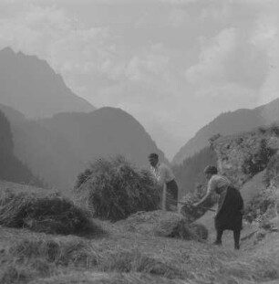 Bauernfamilie bei der Heuernte im Söldener Gebiet