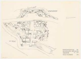 Bundesgartenschau 1971, Köln: Wassergarten Lageplan mit Pflanzplan Frühlingsblüher Zwiebelverteilung Tulpenneuheiten 1:200