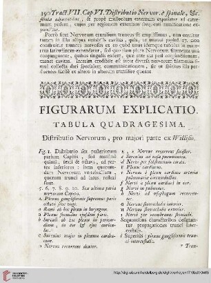 Figurarum explicatio: Tabula quadragesima