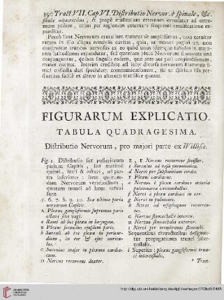 Figurarum explicatio: Tabula quadragesima