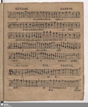 VIII. Sihe lobet den Herren alle Knechte
