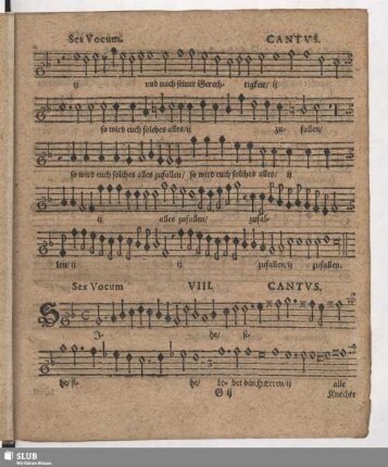 VIII. Sihe lobet den Herren alle Knechte