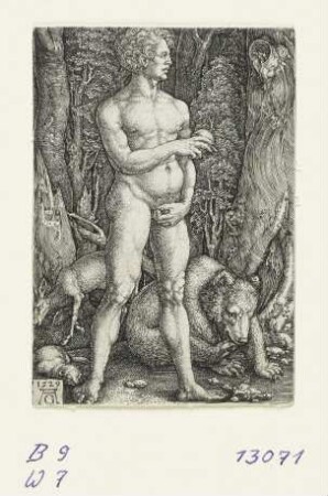 Adam mit einem Bären