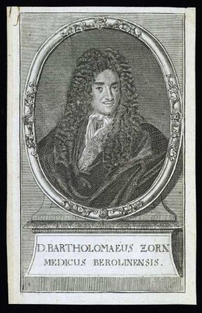 Zorn, Bartholomaeus