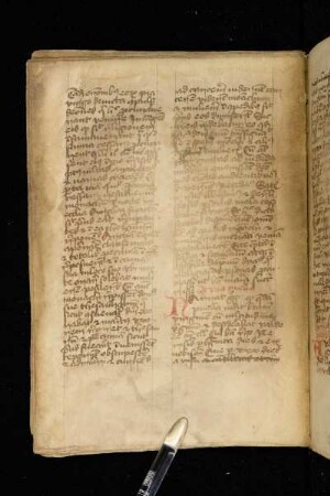 De una puella. Narrat Gregorius quod quedam puella vidit beatam virginem cum multitudine virginum …