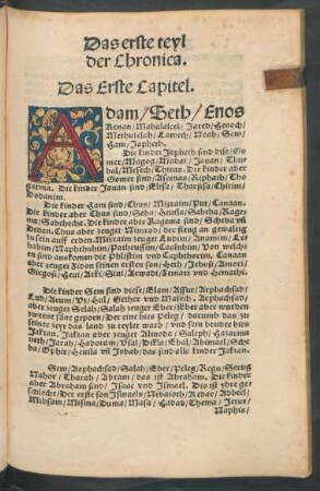 Das erste teyl der Chronica.