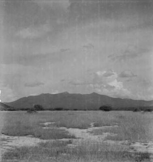 Landschaft : Blick über eine Ebene im Ruaha National Park in Richtung der Berge