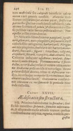 Caput XXVII. Aedificatio seu structura