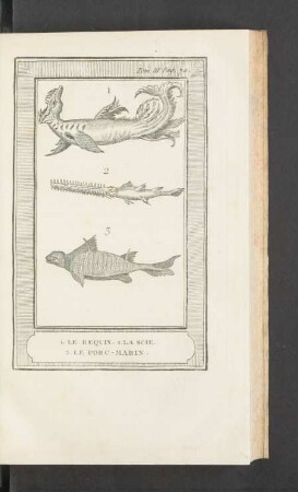 Tafel: 1. Le requin. 2. La scie. 3. Le porc-marin.