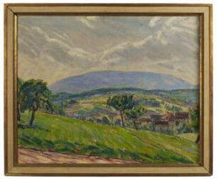 Landschaft am Donnersberg