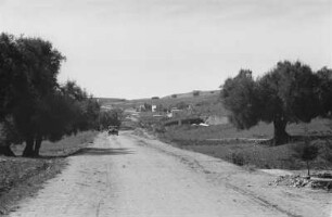 Siedlungsstraße (Libyen-Reise 1938)