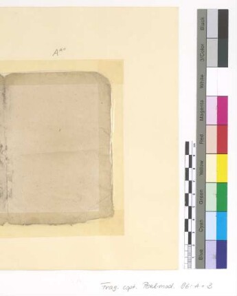 [Psalmodia] : Fragm. copt. Pischoi Psalmod. 96