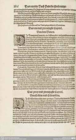 Das einvnd zwentzigste Capitel. - Das fünff vnd zwentzigste Capitel.