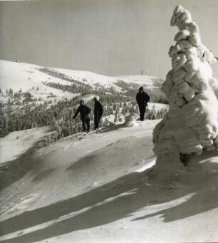 Skiläufer am Feldberg