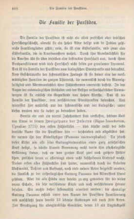 400-411 Die Familie der Paussiden