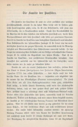 400-411 Die Familie der Paussiden