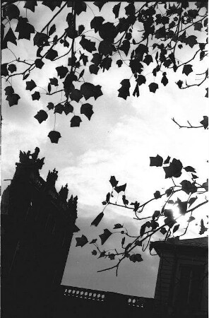 Herbststimmung beim Karlsruher Schloss