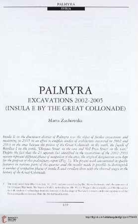 17: Palmyra : excavations 2002-2005 (insula E by the great collonade)