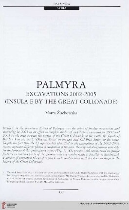17: Palmyra : excavations 2002-2005 (insula E by the great collonade)