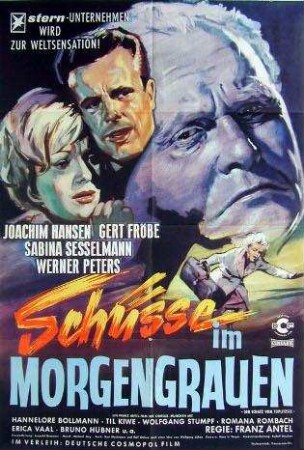 Schüsse im Morgengrauen
