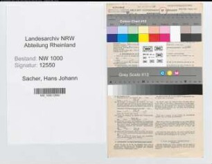 Entnazifizierung Hans Johann Sacher, geb. 07.10.1910 (Vers.Angest.)