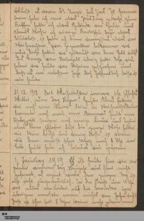 1. - 31. Januar 1919