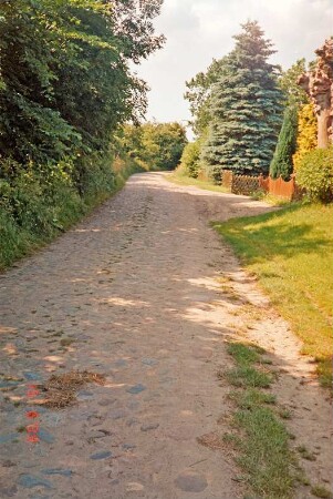 zwischen Mollhagen und Sprenge: Viehkatenstraße: mit Pflasterung: daneben Büsche, Bäume, rechts Grundstückseinfahrt, Holzzaun: 15. Juni 1999