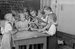 Reportage aus einer Schule in Berlin-Köpenick : Schüler vor Vogel-Präparaten